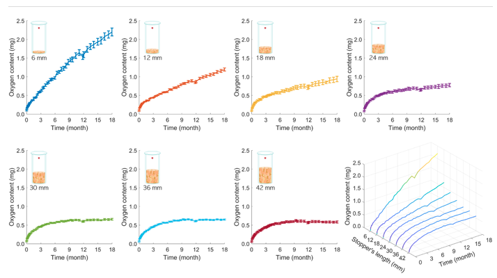 Deciphering the mechanisms of oxygen transfer into a wine bottle